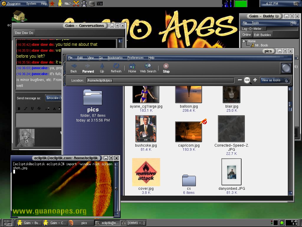 Mandrake desktop with GNOME from 2001